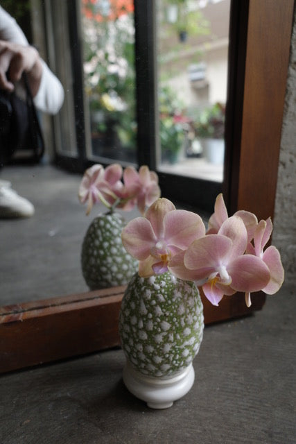 [Despots]Egg-on-shell vase