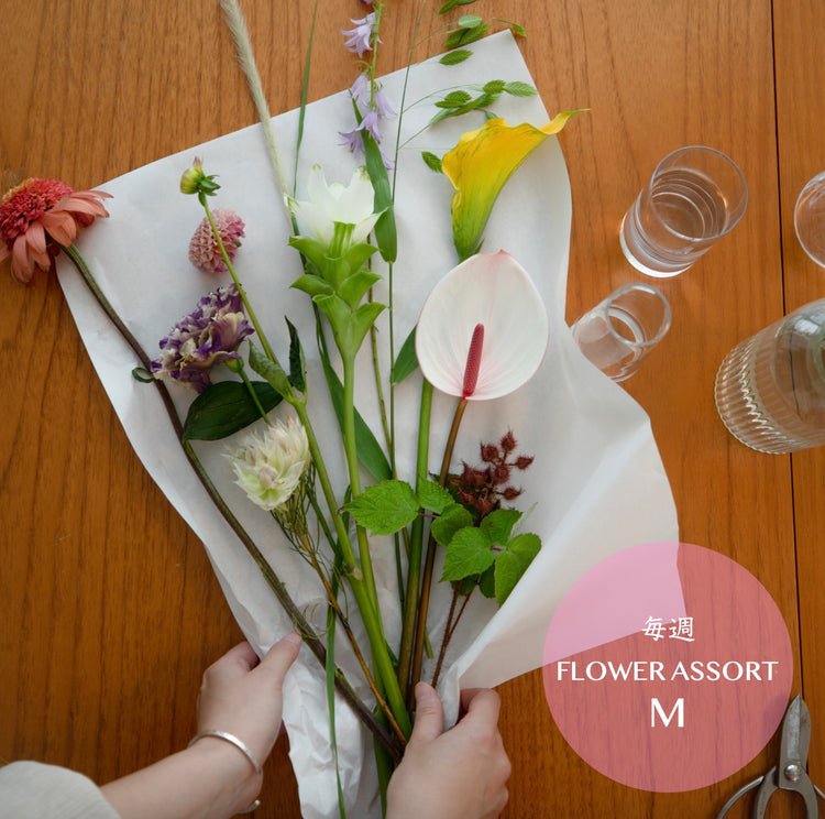【お花の定期便 -毎週】flower assort（M）