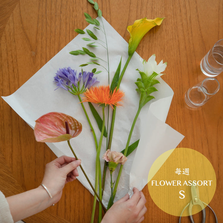 【お花の定期便 - 毎週】flower assort(S)