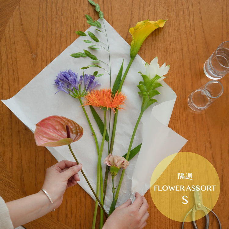 【お花の定期便 - 隔週】flower assort（S）