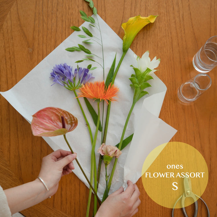 【ones】flower assort(S)
